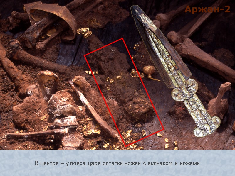 В центре – у пояса царя остатки ножен с акинаком и ножами Аржан-2